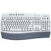 Scheda Tecnica: Logitech Tastiera Oem - USA Internet Keyboard with MM Access, Black logo