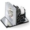 Scheda Tecnica: Acer Lamp Module - For X112 Projector