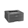 Scheda Tecnica: Brother Hl-l2400dwe Black And White A4 Laser Printer 30ppm - 1200 DPI 64m