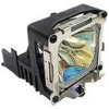 Scheda Tecnica: BenQ LampADA Proiettore - for projector MX720