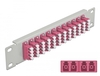 Scheda Tecnica: Delock 10" Fiber Optic Patch Panel - 12 Port Lc Quad Violet 1U Grey