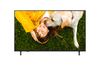 Scheda Tecnica: LG Smart Tv 55" Uhd 4k Nero - 