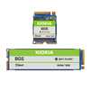 Scheda Tecnica: Kioxia SSD Client BG5 Series M.2 PCIe4.0, NVMe 1.4 - 256GB M.2 2280-S2 Single-sided