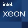 Scheda Tecnica: Intel Xeon W 32 Core LGA3647 - W-3365 4.00GHz, 48MB Cache (32c/64t), Oem