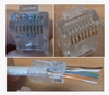 Scheda Tecnica: LINK Confezione 100 Connettori 8 Poli Cat 6 UTP Non - Schermato RJ45 Con Fori Per Agevolare Inserimento Cavi Per