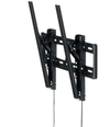 Scheda Tecnica: HAGOR Bl Tilt 400 Wall Bracket 32-49in Displays - 