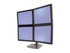 Scheda Tecnica: Ergotron and DS100 - Supporto da tavoo per 4 monitor 24", Fino 56,25 kg, Nero