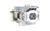 Scheda Tecnica: ViewSonic Replacement amp - Pjd5151 Pjd5153 Pjd5155 Pjd5250/ Pjd5253
