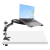 Scheda Tecnica: StarTech Desk Mount Laptop ARM - For Laptop Or Single 34" - Monitor