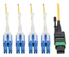Scheda Tecnica: EAton Mtp/mpo (apc) To 4xc (upc) Sngmde Brkout Patch - Penum Yw