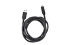 Scheda Tecnica: Wacom Cintiq Pro USB-c To A Cable 1.8 1.8m - 