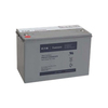 Scheda Tecnica: EAton Battery-block for Ex-rt + Mx Batteriesatz 7590115 - 