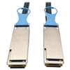 Scheda Tecnica: EAton 50cm Passive Infiniband Cable - 