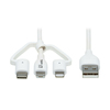 Scheda Tecnica: EAton Safe-it Univ USB-a To Lightnin Sync/chrg Antibactl - Cbl Wht 1.2m