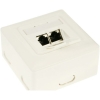 Scheda Tecnica: InLine 75602J Cat.6 connection box AP/UP, 2x RJ45 socket - RAL9010 pure white, horizontal