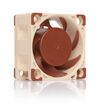 Scheda Tecnica: Noctua Nf-a4x20 Pwm Fan 40mm - 