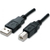 Scheda Tecnica: Manhattan Cavo USB 2.0 - male/b male Bulk 1.8 M