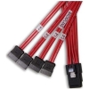 Scheda Tecnica: ATTO Cable, SATA, Internal, SFF-8087 (host) To (4) X1 SATA - (drives), 0.5 M