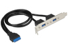 Scheda Tecnica: Delock Slot Bracket 1 X 19 Pin USB 3.0 Pin Header Female - Internal > 2 X USB 3.0 Type-a Female External