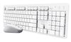 Scheda Tecnica: Trust Mouse - Keyboard ODY II W WHT US US