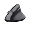 Scheda Tecnica: Trust mouse BAYO II ERGONOMIC - WIRELESS