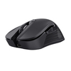 Scheda Tecnica: Trust Gxt923 Ybar Wireless Mouse In - 
