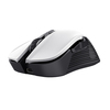 Scheda Tecnica: Trust Gxt923w Ybar Wireless Mouse In - 