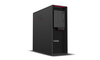 Scheda Tecnica: Lenovo ThinkStation P620 AMD PRO 5975WX - 64GB, 1000GB SSD, LAN, W11P 64-bit