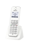 Scheda Tecnica: AVM Fritz! Fritz Fon M2 Int. Telefono Voip Dect - 