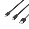 Scheda Tecnica: Belkin Modular Mini Dp Dual Head Host Cable 6 Feet - 