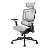 Scheda Tecnica: Sharkoon Sedia Office Fabric Seat Mesh 4d Armrest 5 Heights - Adjustable Max Weight Capacity 150kg