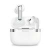 Scheda Tecnica: Fontastic Cuffie Auricolari Bt 5.4 Tws Con Hybrid Anc + Enc - 6 Microfoni Custodia USB-c, E Ricarica Wireless
