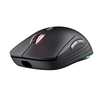 Scheda Tecnica: Trust Mouse GXT926 REDEX II WIRELESS IN - 