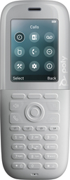 Scheda Tecnica: HP Poly Rove 40 Dect Phone Handset Emea Intl En Euro Plug - 