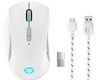 Scheda Tecnica: Lenovo Mouse Legion M600 Wireless Gaming Ambidextrous Rf - Wireless + Bluetooth + Usb Type-A Optical 16000 Dpi