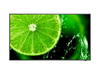 Scheda Tecnica: NEC MultiSync E438, 42.5", 3840 x 2160, IPS, LCD, Direct - LED, 16:9, 1200:1, 60 Hz, 8 ms, 2x10W, 16/7 operating hours