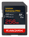 Scheda Tecnica: SanDisk Extreme PRO - Sd Uhs I 256GB Sd 250mB,s