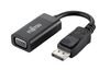 Scheda Tecnica: Fujitsu DP To VGA Adapter - 