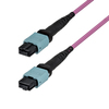 Scheda Tecnica: StarTech 1m (3ft) MTP/MPO Fiber Optic Cable, 24F Type-B - OS2 Single Mode MTP/APC Female Fiber Patch Cable, 9/125m