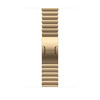 Scheda Tecnica: Apple Bracciale A Maglie - Oro Brillante 46mm