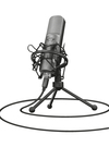 Scheda Tecnica: Trust Gxt 242 Lance Streaming Microphone - 