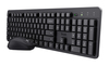 Scheda Tecnica: Trust Keyboard - ODY II W MOUSE BK D GR