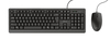 Scheda Tecnica: Trust Keyboard - PRIMO AND MOUSE SET BE MB