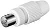 Scheda Tecnica: Goobay ADAttatore Connettore Coassiale Maschio 9.5mm - 
