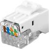 Scheda Tecnica: Techly Frutto Keystone RJ45 - UTP Cat.5e Tooess Bianco
