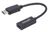 Scheda Tecnica: Manhattan Adattatore Dp HDMI Passivo - 