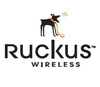 Scheda Tecnica: Ruckus Zonedirector 3000 lic. Upg - From Supporting 25 To Supporting 50 Zonefex Access Points