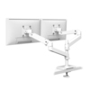 Scheda Tecnica: Ergotron x Pro ARM Dual Display - Stacking Grommet Mount Esw