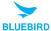 Bluebird